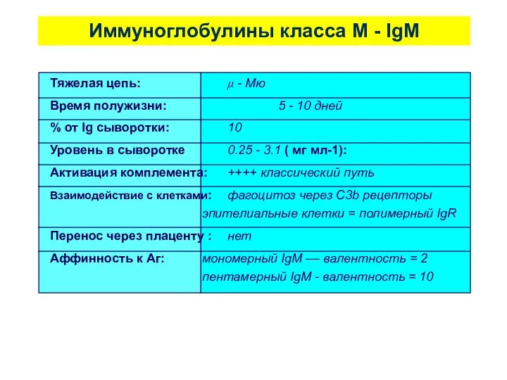 Иммуноглобулины класса М - IgM Тяжелая цепь: μ - Mю