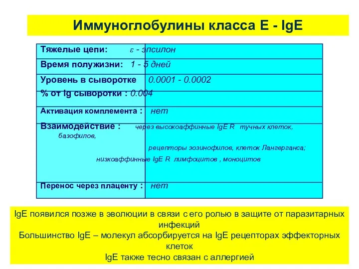 Иммуноглобулины класса Е - IgE IgE появился позже в эволюции