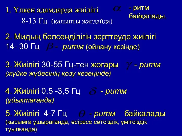 1. Үлкен адамдарда жиілігі 8-13 Гц (қалыпты жағдайда) - ритм