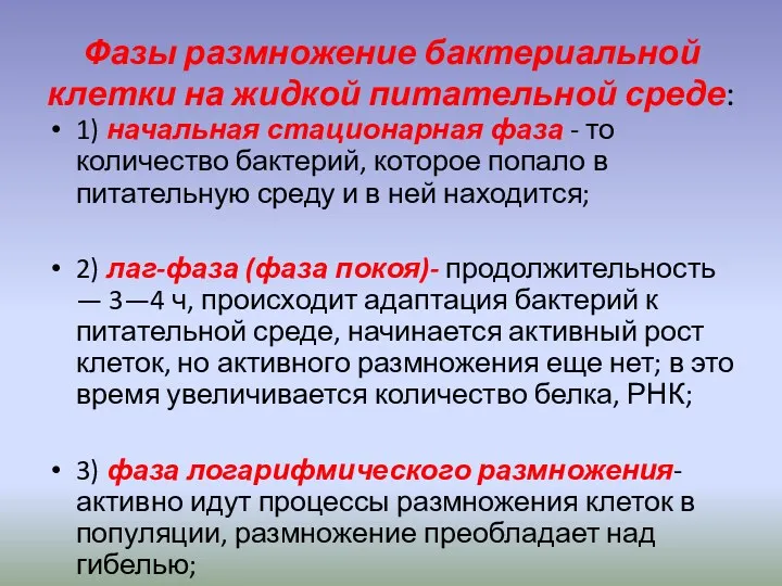 Фазы размножение бактериальной клетки на жидкой питательной среде: 1) начальная