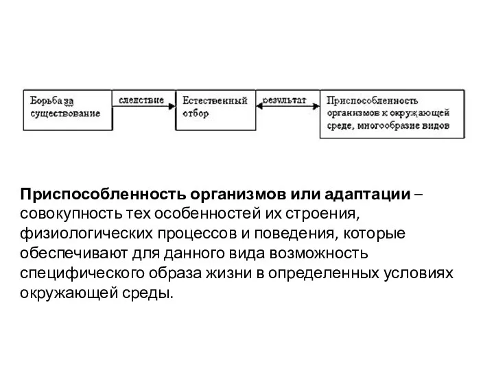 Приспособленность организмов или адаптации – совокупность тех особенностей их строения,