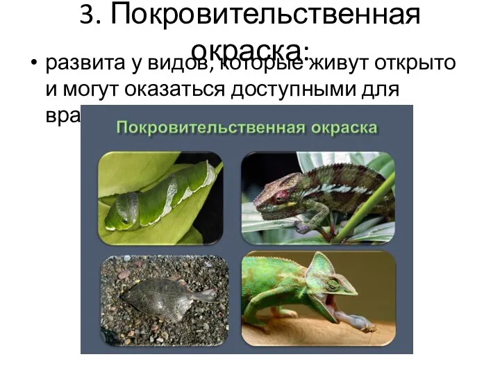 3. Покровительственная окраска: развита у видов, которые живут открыто и могут оказаться доступными для врагов