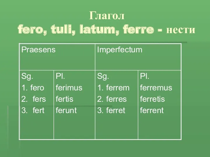 Глагол fero, tuli, latum, ferre - нести