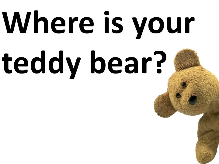 Where is your teddy bear?
