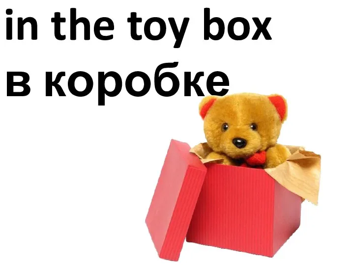 in the toy box в коробке