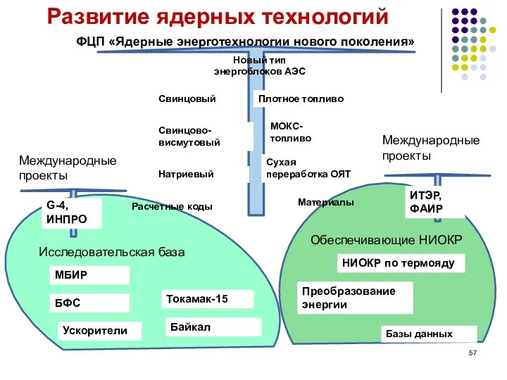 ФЦП «Ядерные энерготехнологии нового поколения» Новый тип энергоблоков АЭС Свинцовый