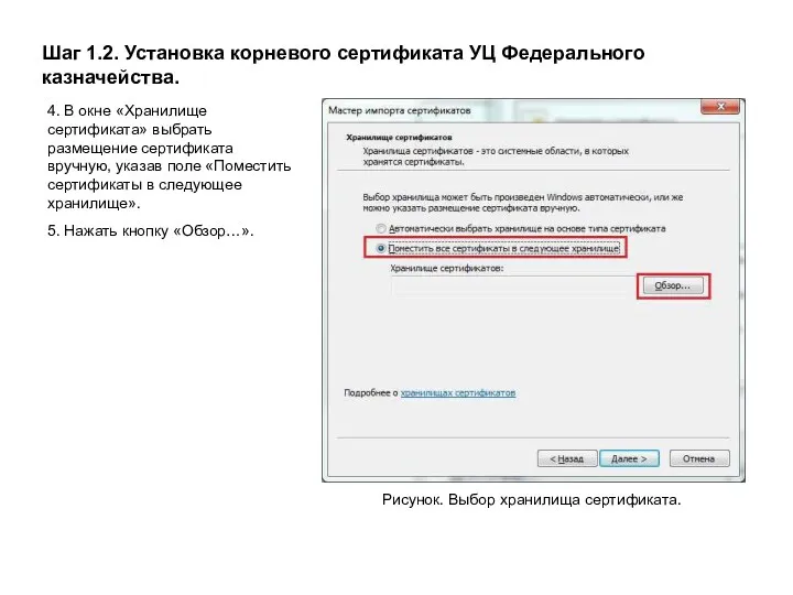 Шаг 1.2. Установка корневого сертификата УЦ Федерального казначейства. Рисунок. Выбор