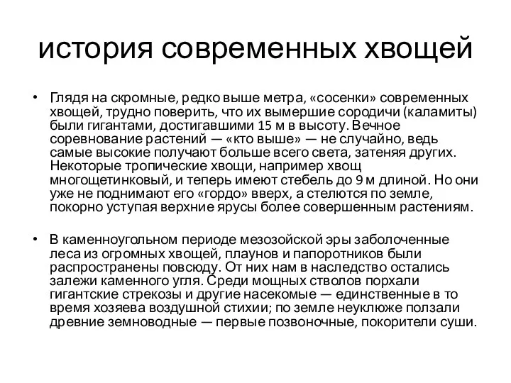 история современных хвощей Глядя на скромные, редко выше метра, «сосенки»