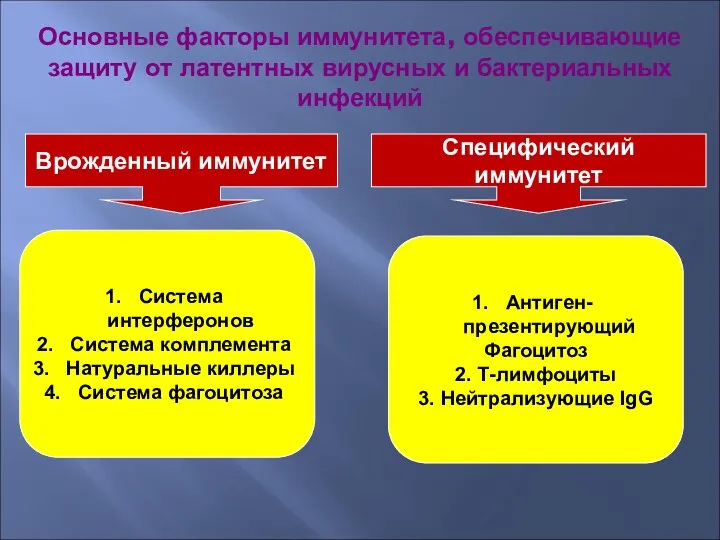 Основные факторы иммунитета, обеспечивающие защиту от латентных вирусных и бактериальных инфекций Врожденный иммунитет