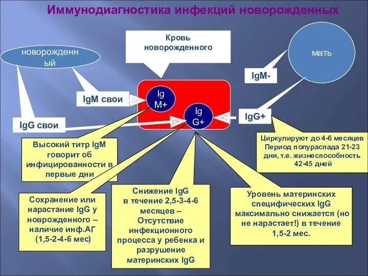 Иммунодиагностика инфекций новорожденных IgM+ IgG+ Кровь новорожденного новорожденный мать IgM-