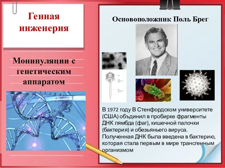 Генная инженерия Монипуляции с генетическим аппаратом Основоположник Поль Брег В