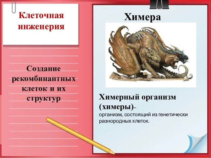 Клеточная инженерия Создание рекомбинантных клеток и их структур Химера Химерный