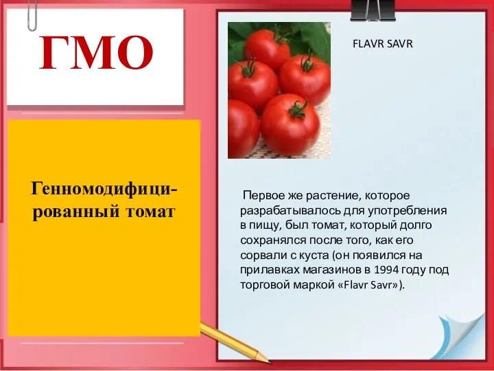 ГМО Генномодифици-рованный томат FLAVR SAVR Первое же растение, которое разрабатывалось