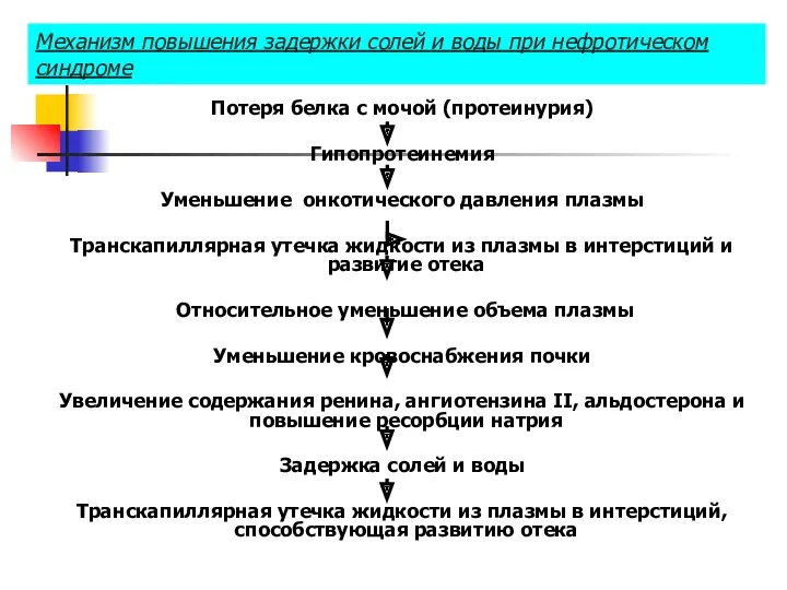 Механизм повышения задержки солей и воды при нефротическом синдроме Потеря