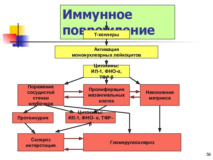 Copyright © I-Design 2002 Иммунное повреждение