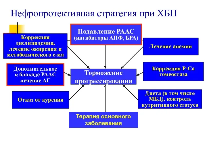 Нефропротективная стратегия при ХБП Торможение прогрессирования Дополнительное к блокаде РААС