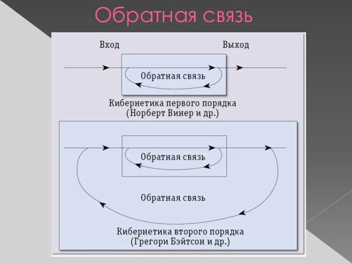 Обратная связь