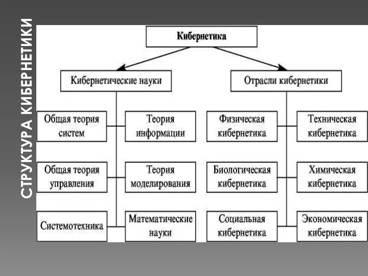 СТРУКТУРА КИБЕРНЕТИКИ