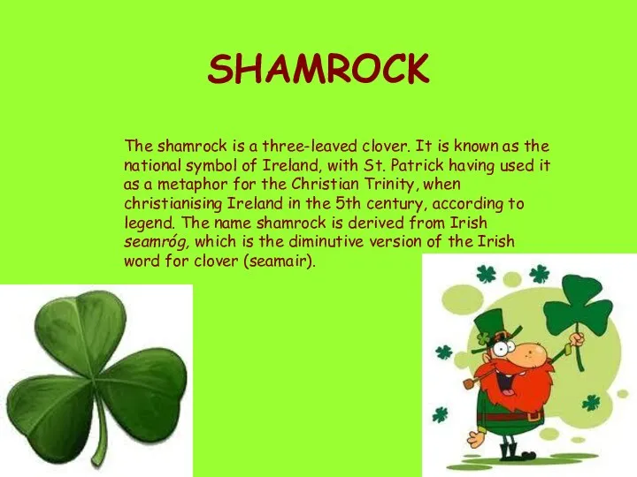 SHAMROCK The shamrock is a three-leaved clover. It is known