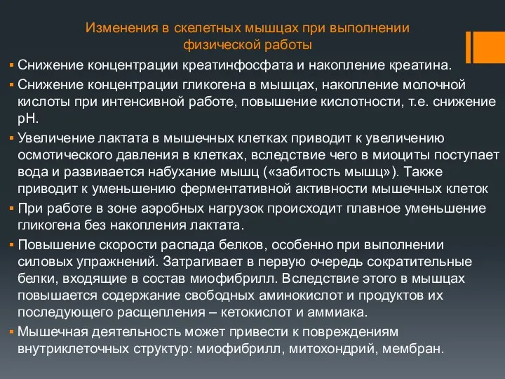 Изменения в скелетных мышцах при выполнении физической работы Снижение концентрации