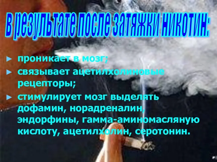 проникает в мозг; связывает ацетилхолиновые рецепторы; стимулирует мозг выделять дофамин,