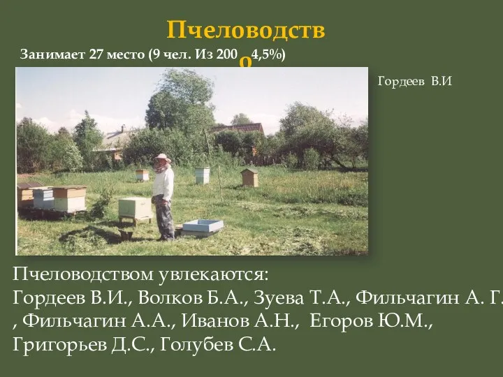 Пчеловодство Пчеловодством увлекаются: Гордеев В.И., Волков Б.А., Зуева Т.А., Фильчагин