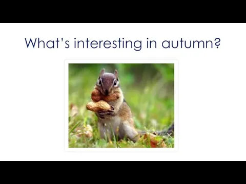 What’s interesting in autumn?