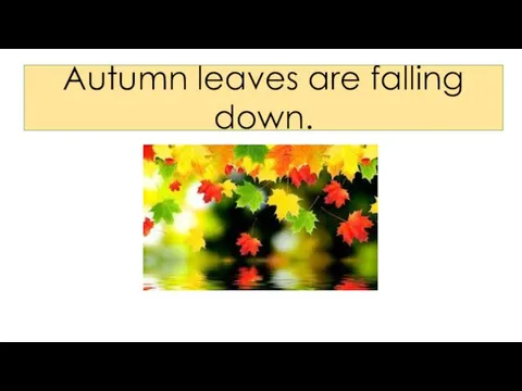 Autumn leaves are falling down.