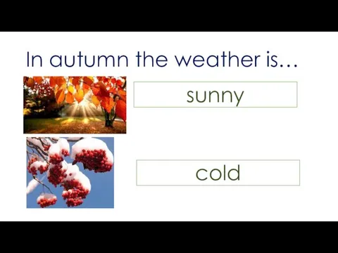 In autumn the weather is… sunny cold
