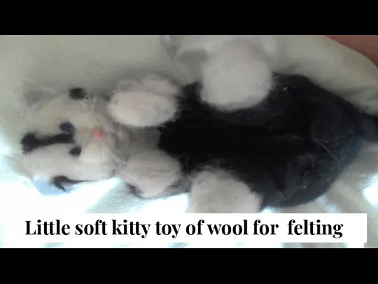 Little soft kitty toy of wool for felting