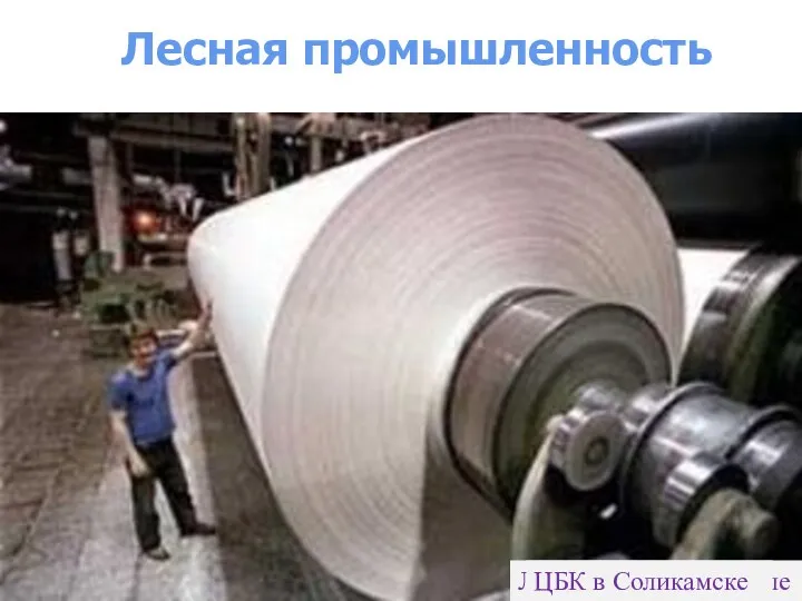 Лесная промышленность Лесозаготовки на Урале ЦБК в Соликамске