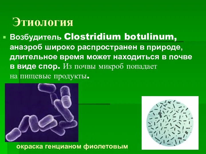 Этиология Возбудитель Clostridium botulinum, анаэроб широко распространен в природе, длительное время может находиться