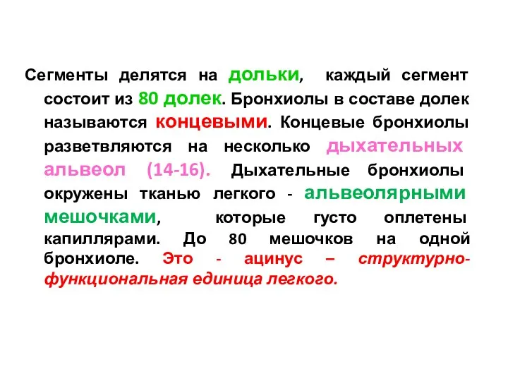 Сегменты делятся на дольки, каждый сегмент состоит из 80 долек.