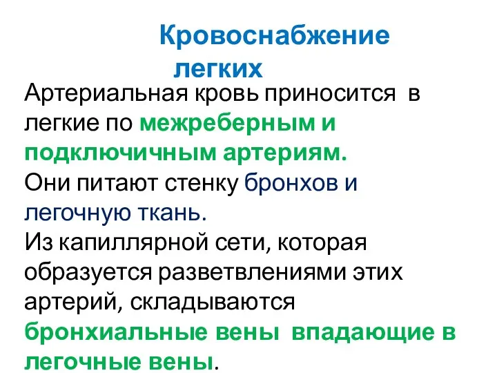 Артериальная кровь приносится в легкие по межреберным и подключичным артериям.