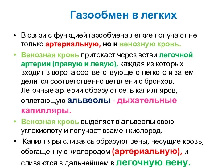 В связи с функцией газообмена легкие получают не только артериальную,