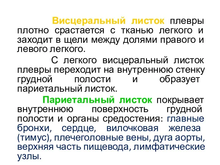 Висцеральный листок плевры плотно срастается с тканью легкого и заходит