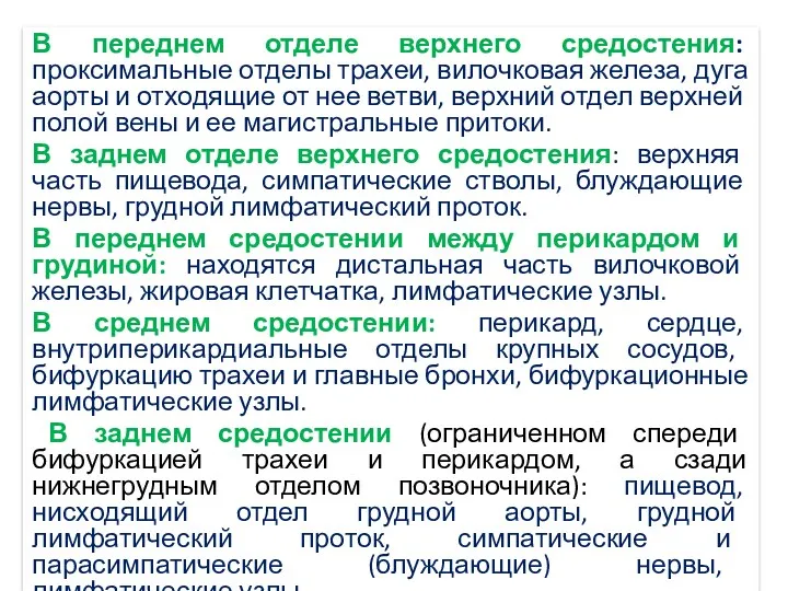 В переднем отделе верхнего средостения: проксимальные отделы трахеи, вилочковая железа,