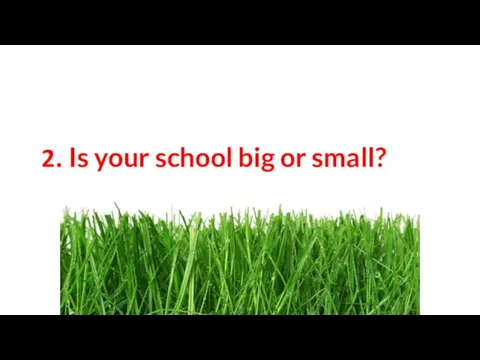 2. Is your school big or small?