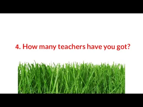 4. How many teachers have you got?