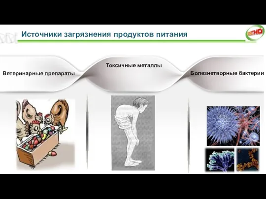 Ветеринарные препараты Токсичные металлы Болезнетворные бактерии Источники загрязнения продуктов питания