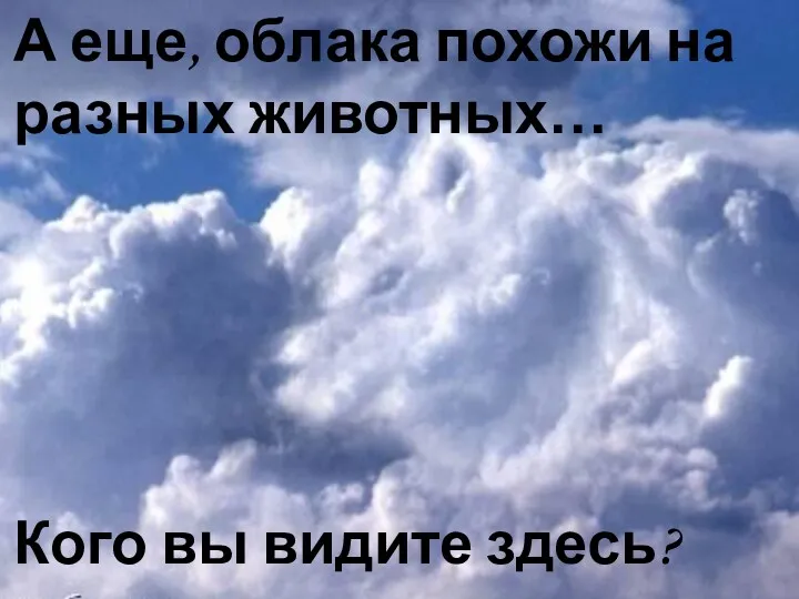 А еще, облака похожи на разных животных… Кого вы видите здесь?