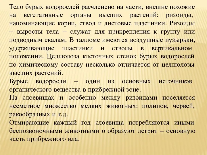 Тело бурых водорослей расчленено на части, внешне похожие на вегетативные