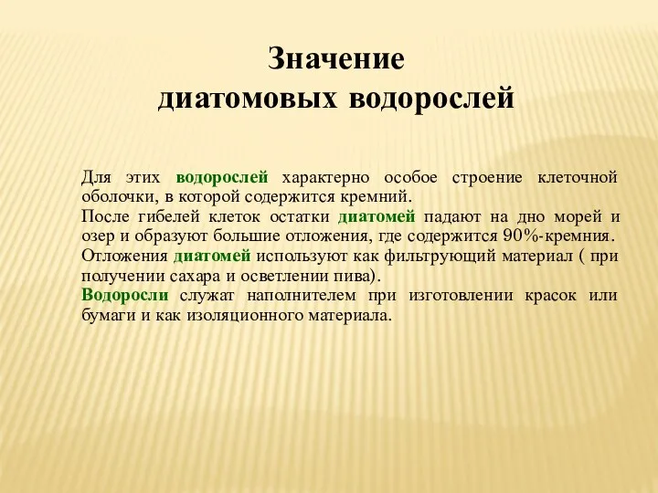 Значение диатомовых водорослей Для этих водорослей характерно особое строение клеточной