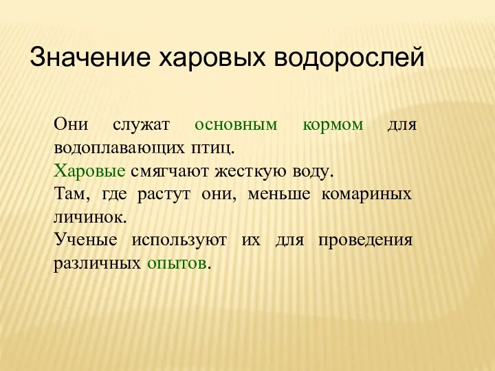 Значение харовых водорослей Они служат основным кормом для водоплавающих птиц.