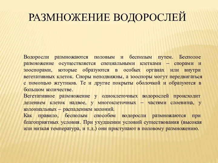 РАЗМНОЖЕНИЕ ВОДОРОСЛЕЙ Водоросли размножаются половым и бесполым путем. Бесполое размножение