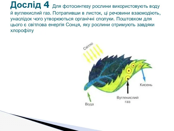 Дослід 4 Для фотосинтезу рослини використовують воду й вуглекислий газ.