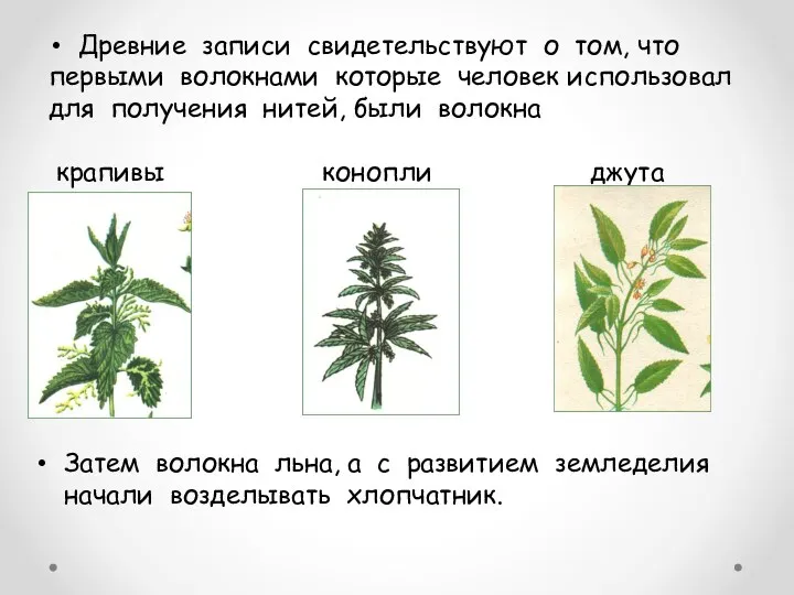 Древние записи свидетельствуют о том, что первыми волокнами которые человек