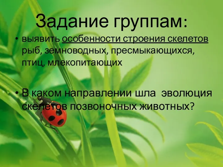 Задание группам: выявить особенности строения скелетов рыб, земноводных, пресмыкающихся, птиц,