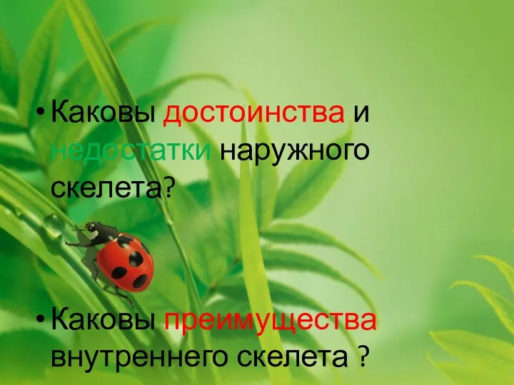 Каковы достоинства и недостатки наружного скелета? Каковы преимущества внутреннего скелета ?