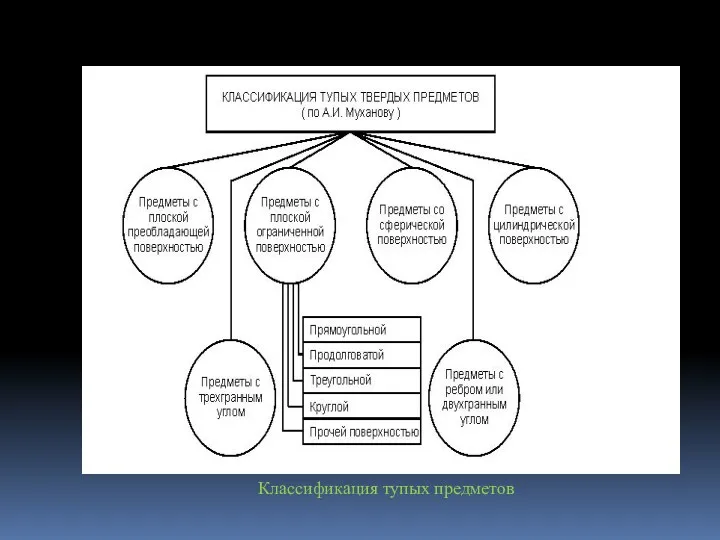 Классификация тупых предметов